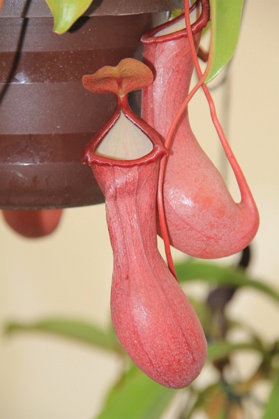 BUGA2011   088.jpg